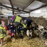 Van schaap tot wol...