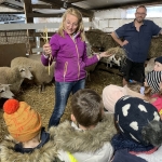 Van schaap tot wol...