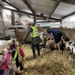Van schaap tot wol...
