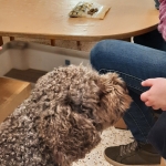 Taal stimuleren met Zo&euml;