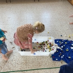 We gaan op berenjacht