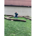 Mediavaardigheid