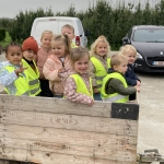 Bezoek aan de Siamhoeve
