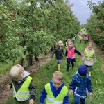 Bezoek aan de Siamhoeve