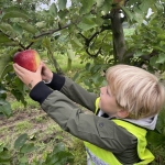 Bezoek aan de Siamhoeve