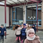 Hij staat er! DE OKKERNOTENBOOM!!!