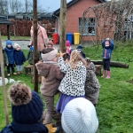 Hij staat er! DE OKKERNOTENBOOM!!!