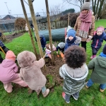 Hij staat er! DE OKKERNOTENBOOM!!!