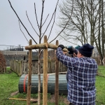 Hij staat er! DE OKKERNOTENBOOM!!!