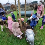 Hij staat er! DE OKKERNOTENBOOM!!!