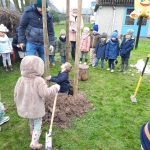 Hij staat er! DE OKKERNOTENBOOM!!!