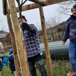Hij staat er! DE OKKERNOTENBOOM!!!