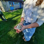 Pedagogische studiedag