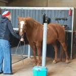 Sint op bezoek