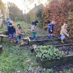 Heu!? Beren in de tuin???