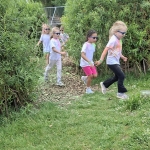Kleurenloop