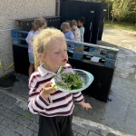 Terugkomdag