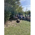Terugkomdag