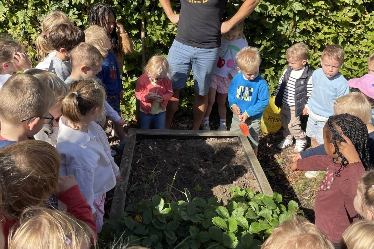 Moestuinieren