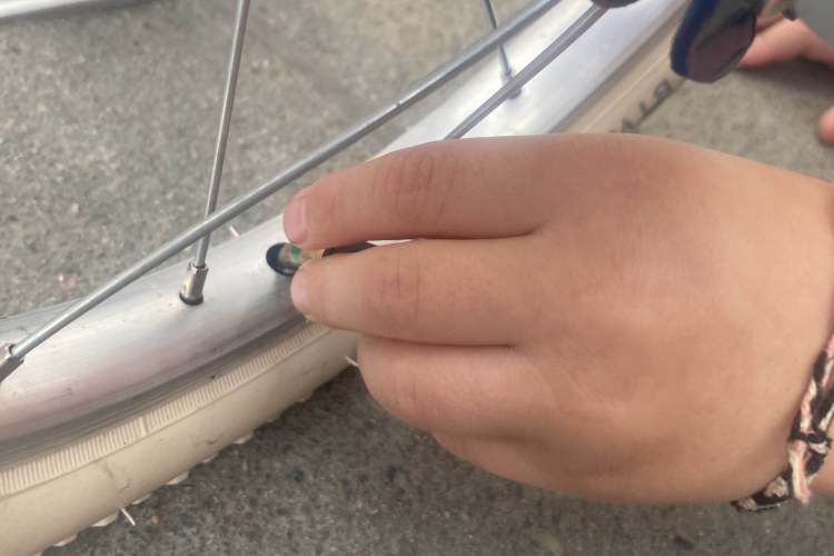 Fietstechniek